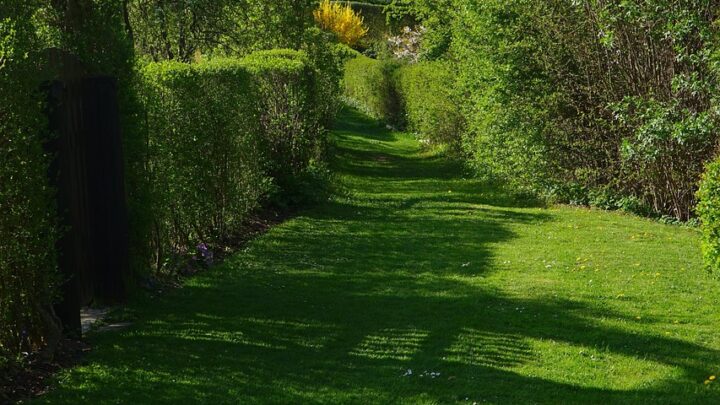 Die verlässliche Einzäunung des Grundstücks