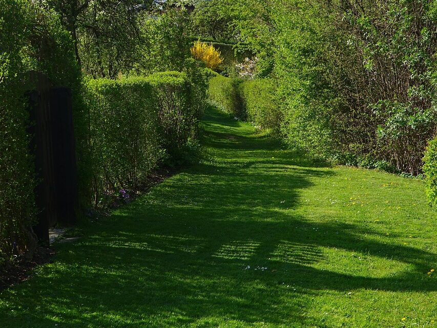 Die verlässliche Einzäunung des Grundstücks
